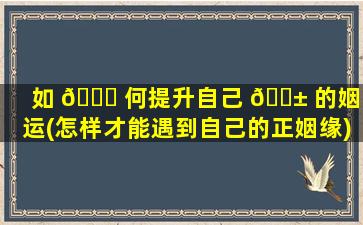 如 🐎 何提升自己 🐱 的姻缘运(怎样才能遇到自己的正姻缘)